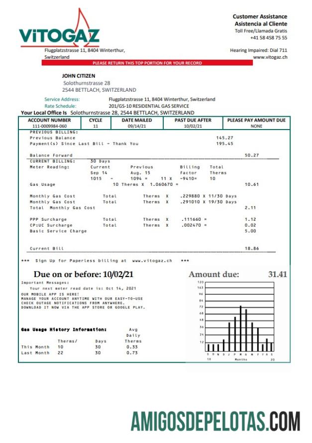 para download Modelo de fatura de serviços públicos da Suíça Vitogaz Switzerland AG, totalmente editável em formato Word e PDF